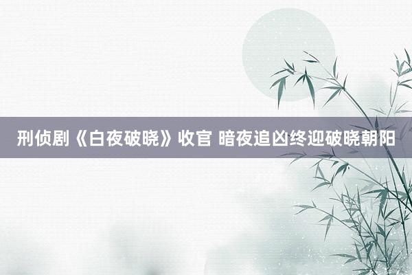 刑侦剧《白夜破晓》收官 暗夜追凶终迎破晓朝阳